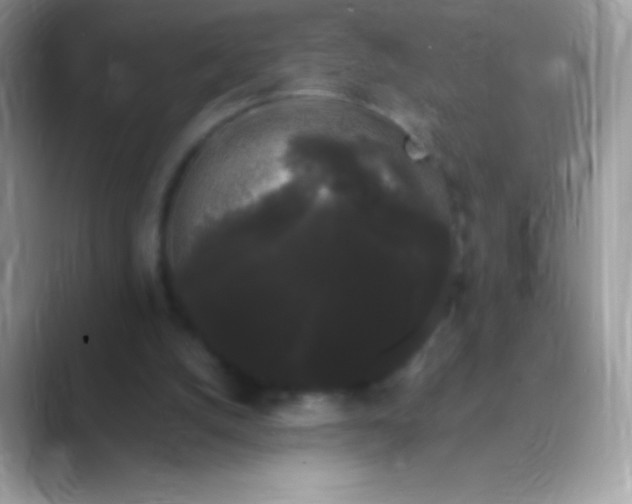 X0000089760056200707051841