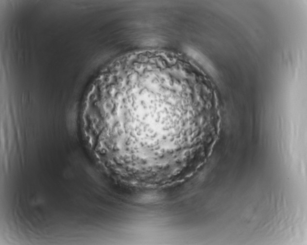 X0000089760058200707051841