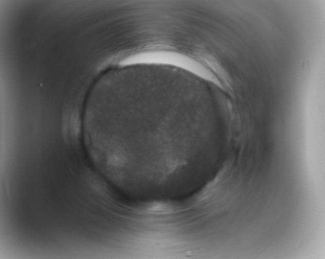 X0000089760060200707051841