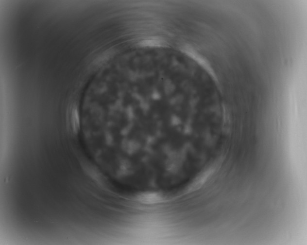 X0000089760061200707051841