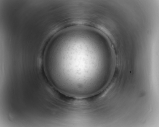 X0000089760063200707051841