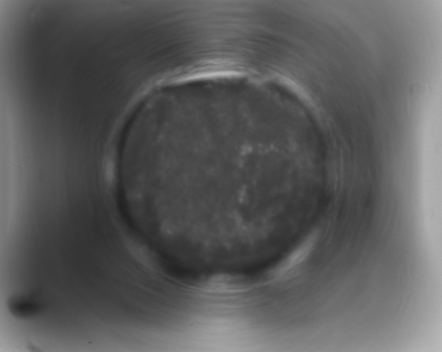 X0000089760064200707051841