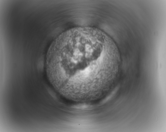 X0000089760065200707051841