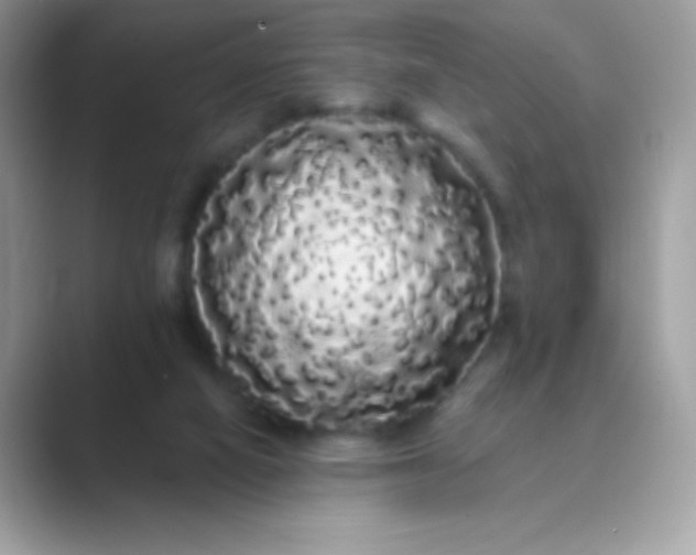 X0000089760066200707051841