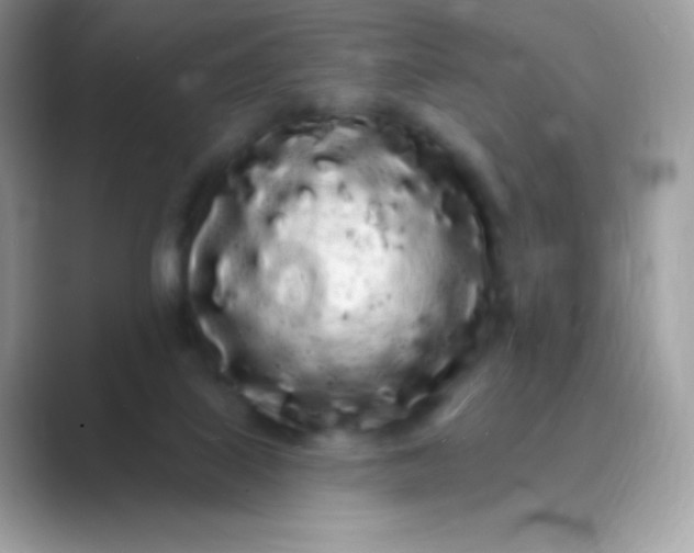 X0000089760067200707051841