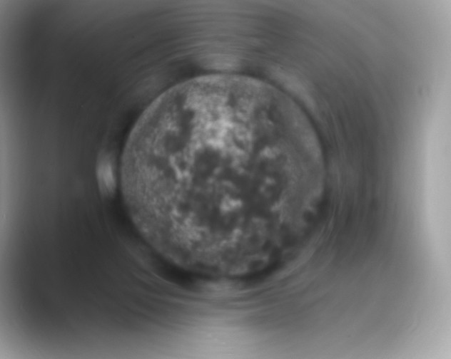 X0000089760069200707051841