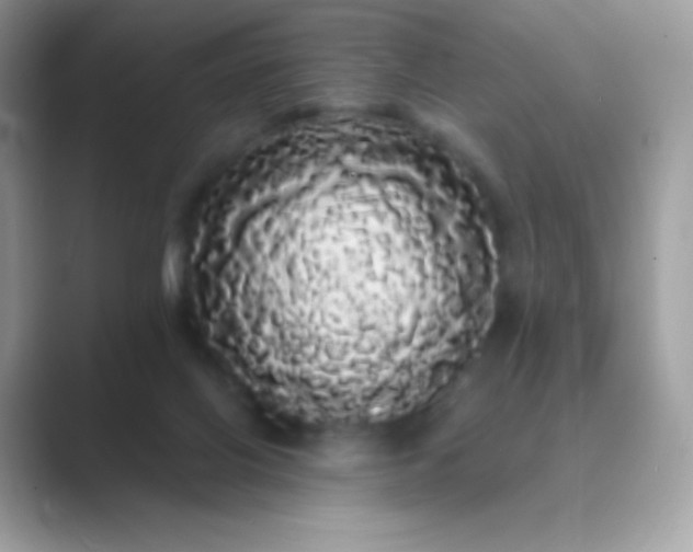 X0000089760070200707051841