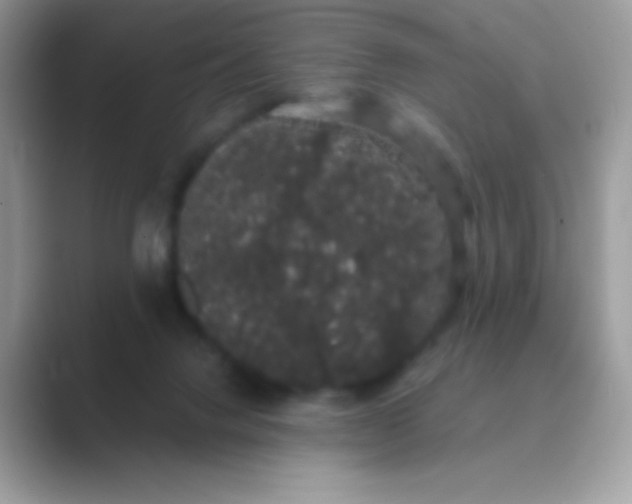 X0000089760072200707051841