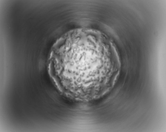 X0000089760073200707051841