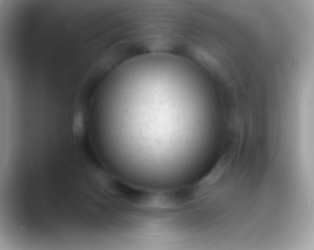 X0000089760074200707051841