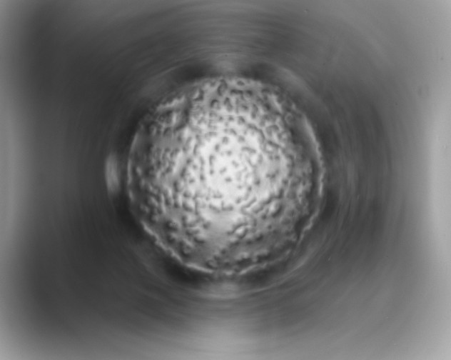 X0000089760075200707051841