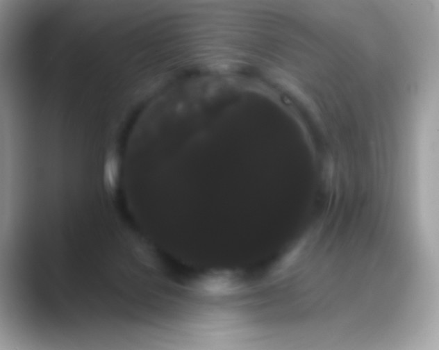 X0000089760076200707051841