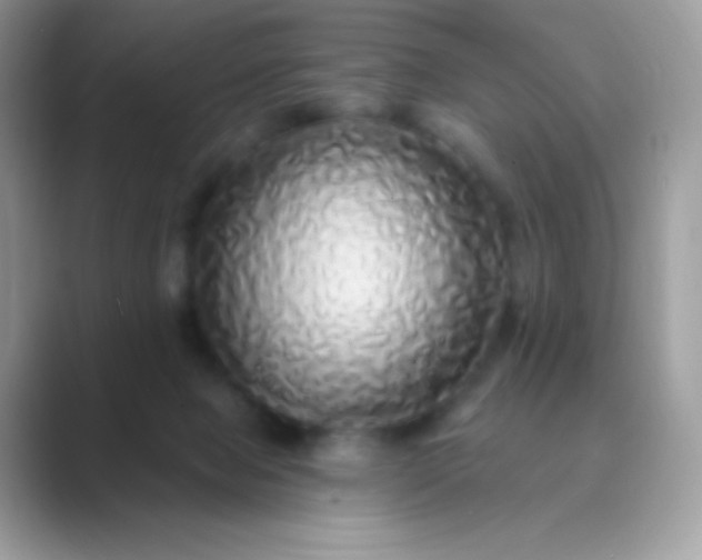 X0000089760077200707051841