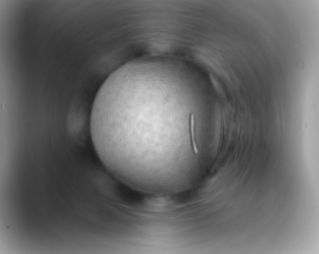 X0000089760079200707051841