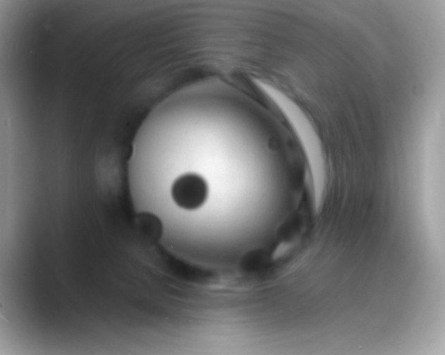 X0000089760080200707051841