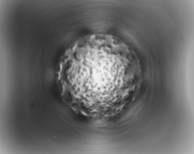 X0000089760081200707051841