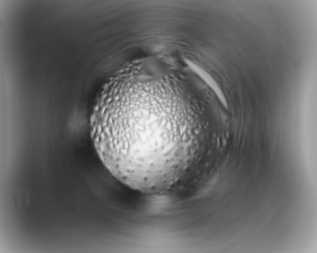 X0000089760085200707051841