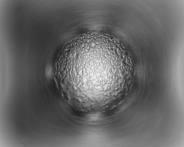 X0000089760089200707051841