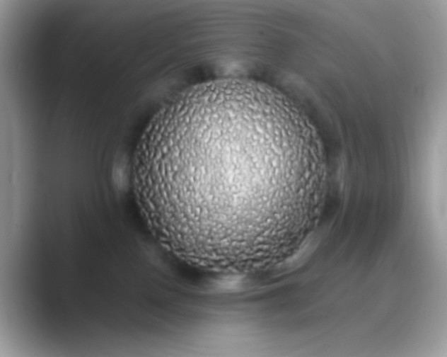 X0000089760090200707051841