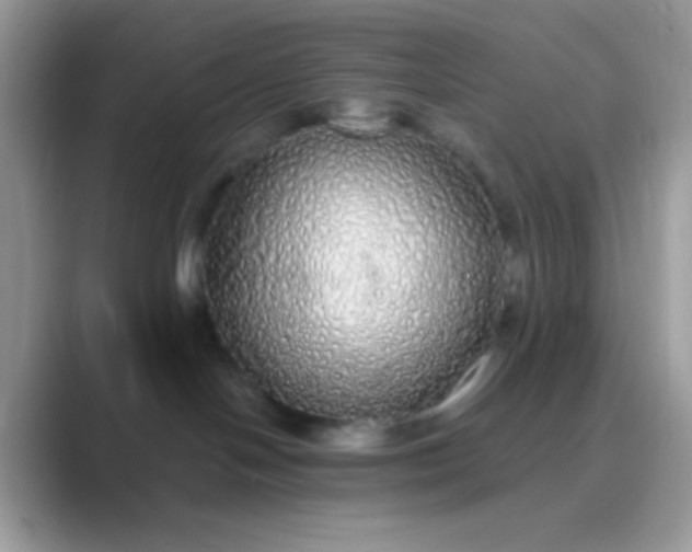 X0000089760094200707051841