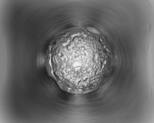 X0000089760095200707051841