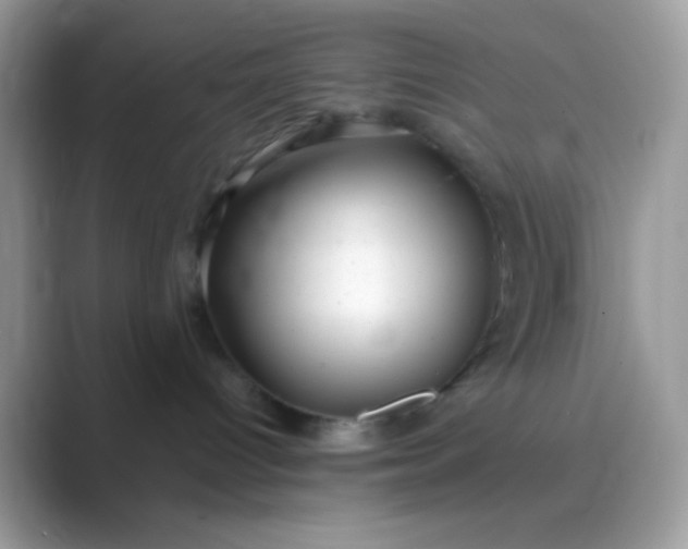 X0000089760096200707051841