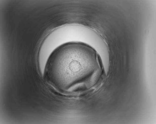 X0000089760099200707051840