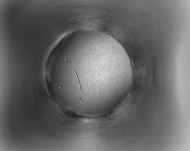 X0000089760100200707051840