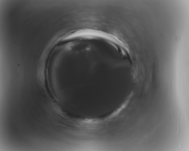 X0000089760101200707051840