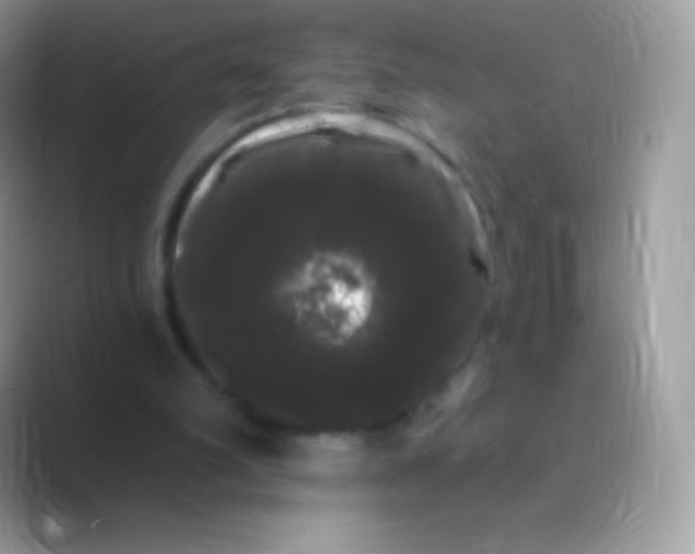 X0000089760102200707051840