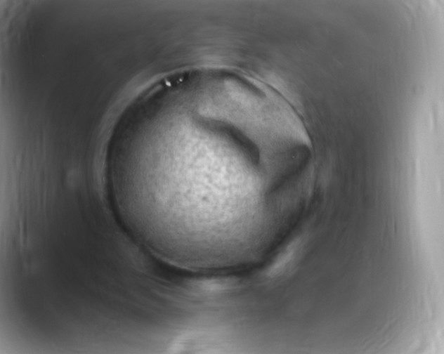 X0000089760103200707051840