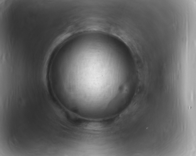 X0000089760104200707051840