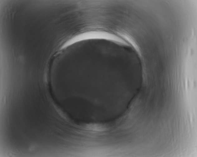 X0000089760105200707051840