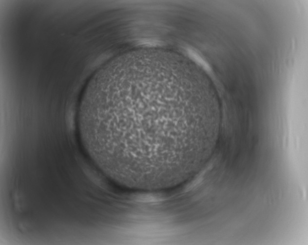 X0000089760106200707051840