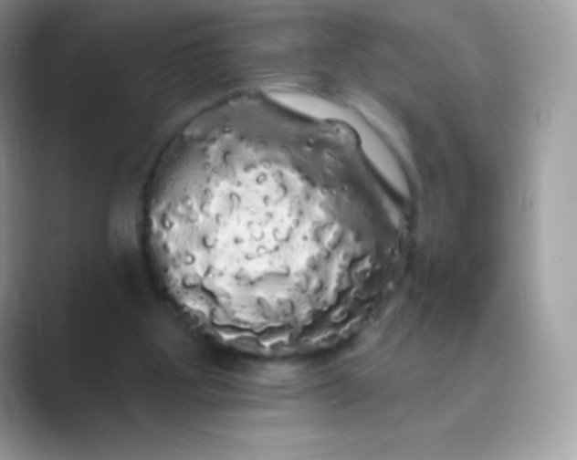 X0000089760107200707051840