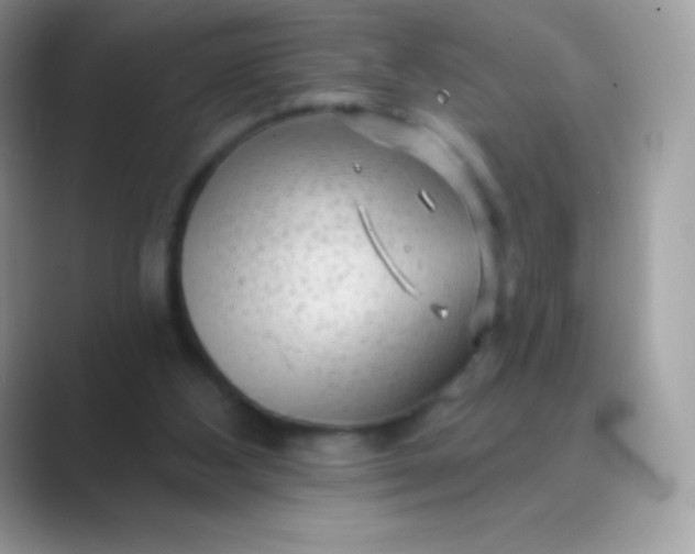 X0000089760108200707051840