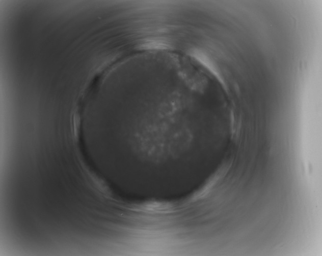 X0000089760109200707051840