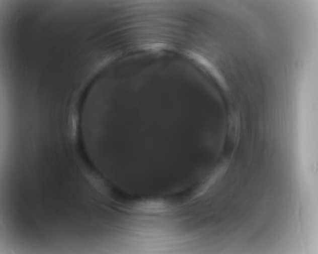 X0000089760110200707051840