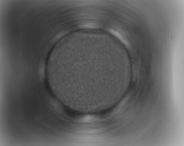 X0000089760111200707051840