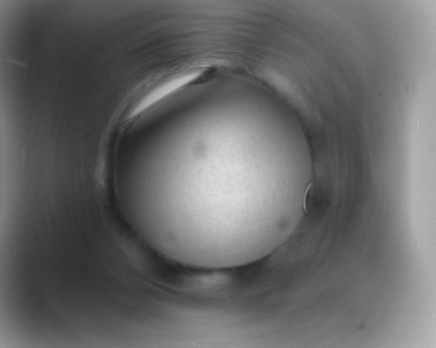 X0000089760112200707051840