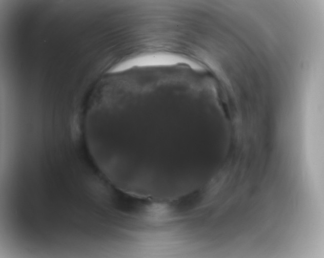 X0000089760114200707051840