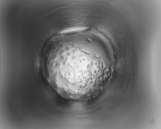 X0000089760115200707051840