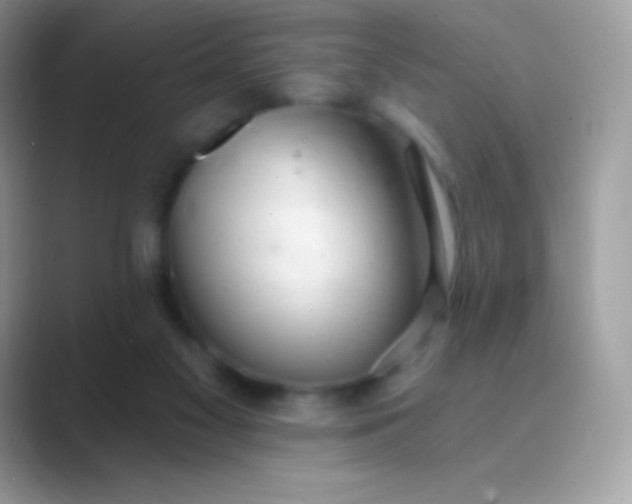 X0000089760117200707051840