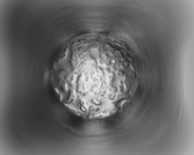 X0000089760123200707051840