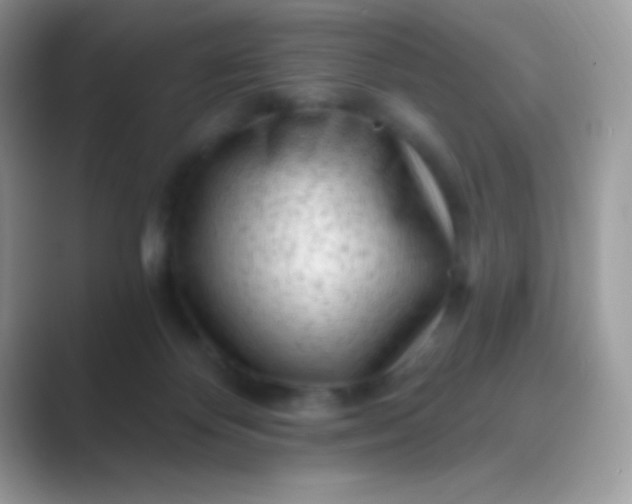 X0000089760124200707051840