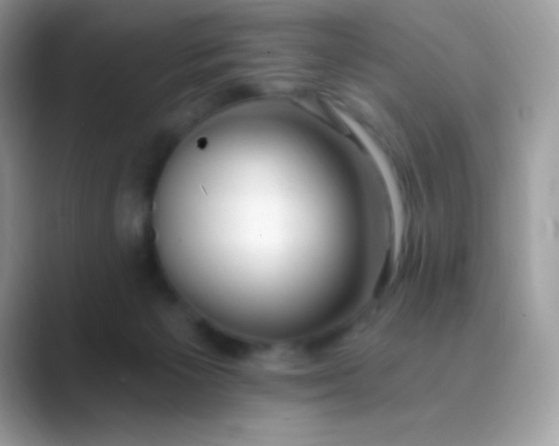 X0000089760125200707051840