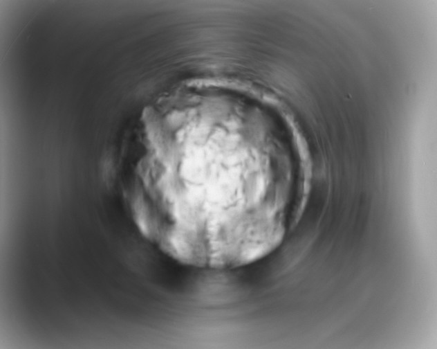 X0000089760127200707051840