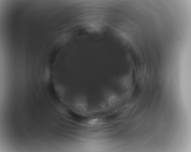 X0000089760130200707051840