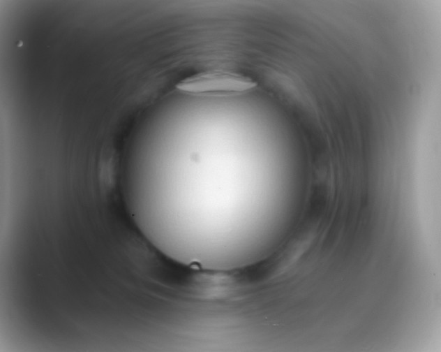 X0000089760133200707051840