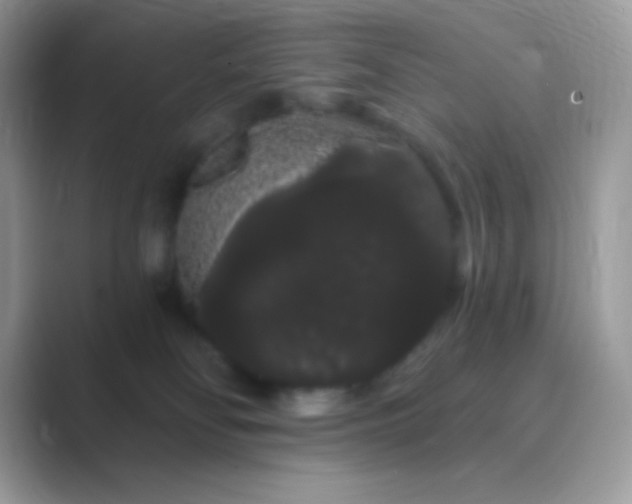 X0000089760134200707051840